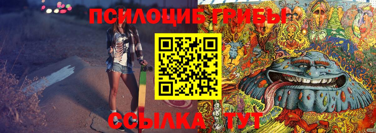 Павлово  Псилоцибиновые грибы мицелий  Вход с VPN 