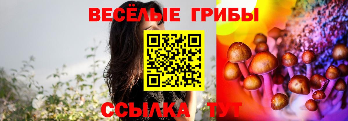 Псилоцибиновые грибы ЛСД Павлово